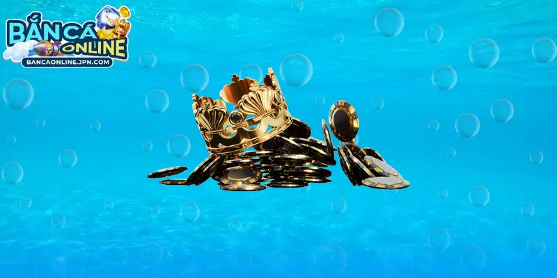 Các câu hỏi thường gặp